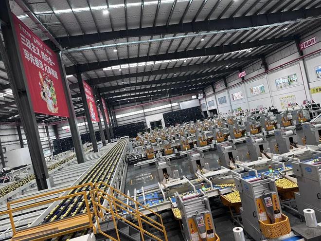 蜜雪的增长逻辑：长期主义、主动调改与幸运咖的下一步